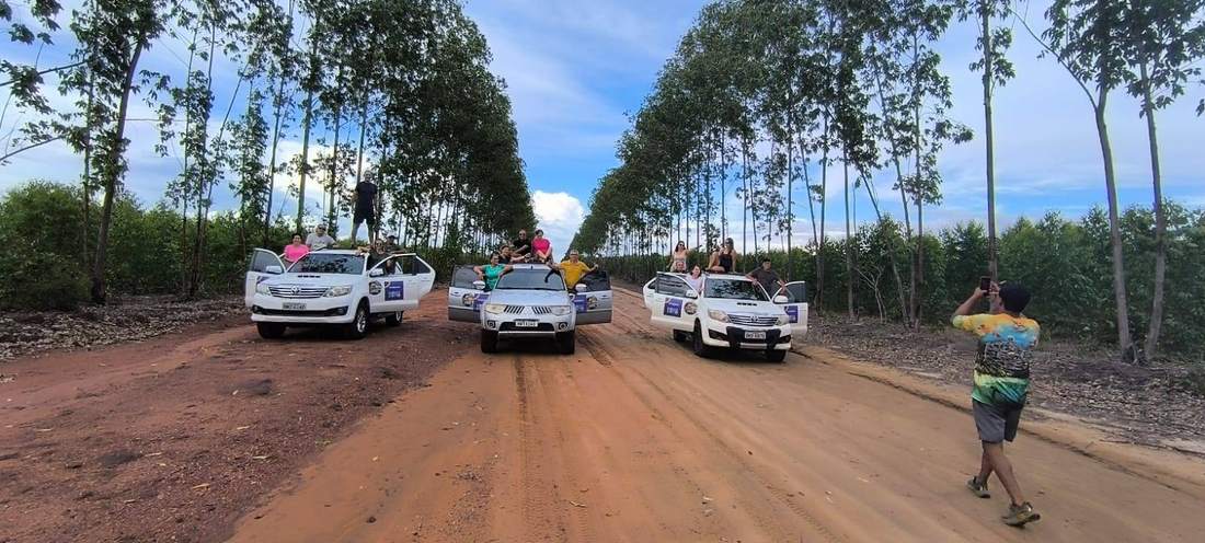 Comboio de caminhonetes 4×4 com o grupo em estrada de terra entre eucaliptos