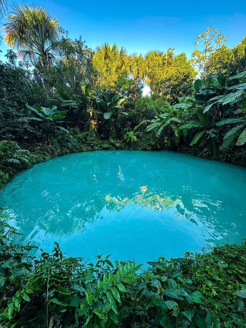 Fervedouro de água azul-turquesa cercado de bananeiras